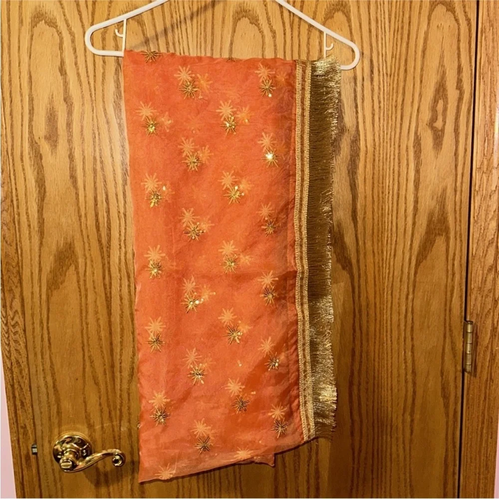 Pakistani Anarkali Dress - Picture 7 of 7